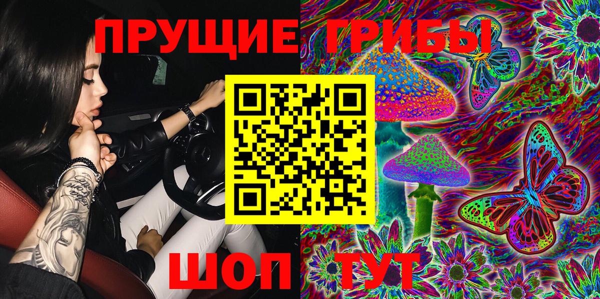 Псилоцибиновые грибы GOLDEN TEACHER Борисоглебск